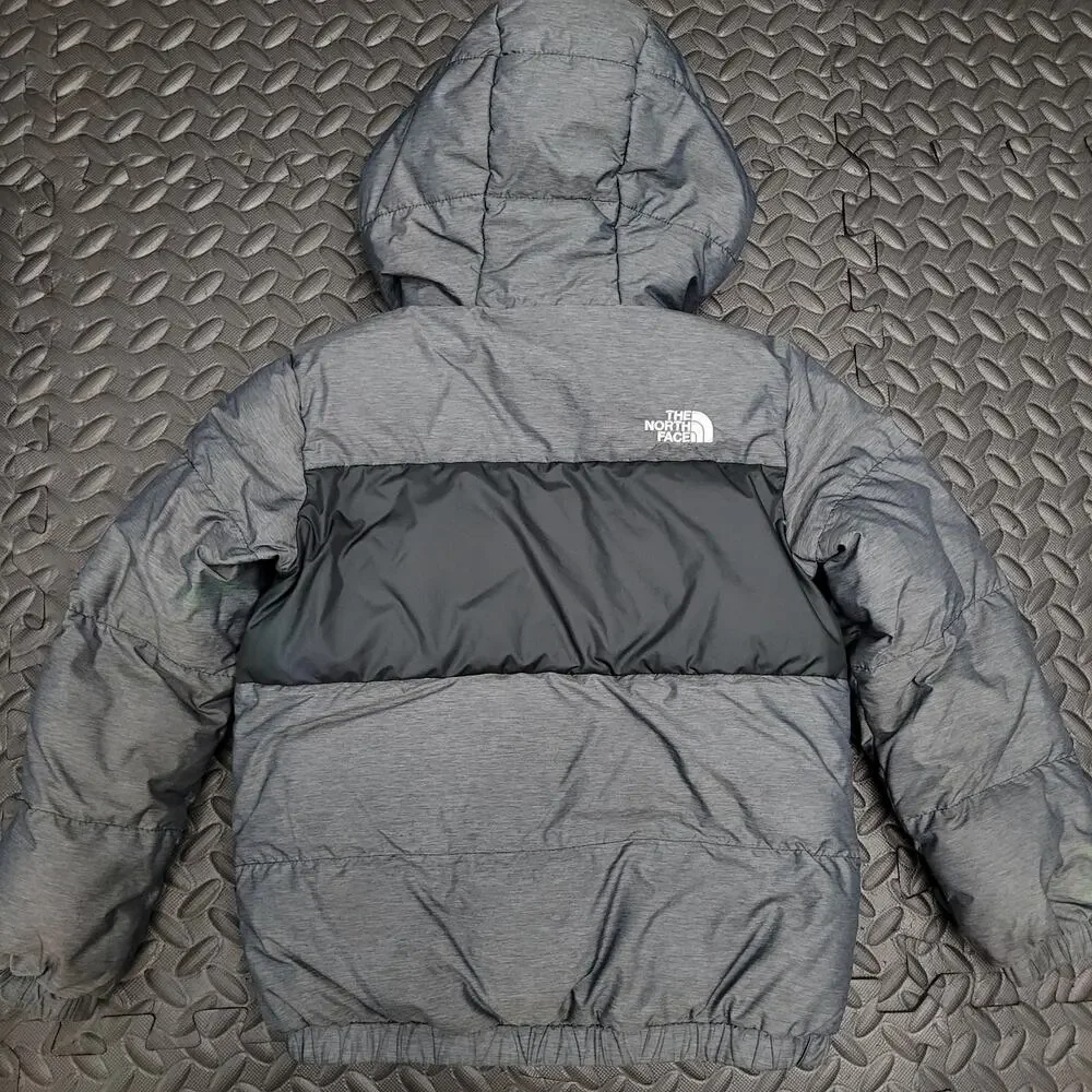 The North Face Toddler 6T 550 Down Puffer Jacket Gray Sherpa Hood Gorpcore